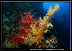 Helllllo  - back from my holidays... :O) Beautiful time i... by Michel Lonfat 